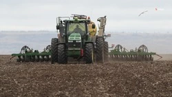 Четверть плана по севу гороха выполнили на Ставрополье