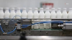 Почти на четверть вырос экспорт мясной и молочной продукции Ставрополья