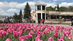 Губернатор Ставрополья поручил разработать программу благоустройства за счёт курсбора