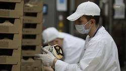 Главным импортёром продукции АПК Ставрополья стала Саудовская Аравия