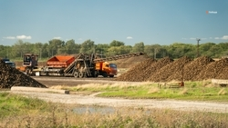 Аграрии Ставрополья завершают уборку пропашных культур