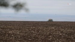 Беседы с руководителями сельхозпредприятий о борьбе с грызунами на полях проводят на Ставрополье  