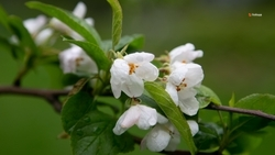 До +12 градусов ожидается в Ставропольском крае 2 марта