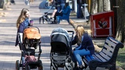 Тысяча семей  пополнила список многодетных в 2021 году на Ставрополье