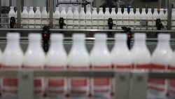 На Ставрополье вдвое нарастили экспорт молочной продукции