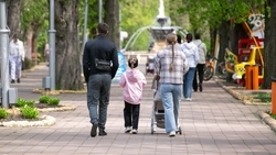 Более 4,7 тыс. мам на Ставрополье получили пособия по беременности и родам от СФР