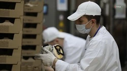 В шесть раз вырос экспорт маргарина со Ставрополья в Армению