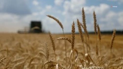 На Ставрополье на два месяца ввели особый противопожарный режим
