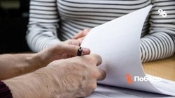Жители сёл на Ставрополье открывают хозяйства благодаря соцконтрактам