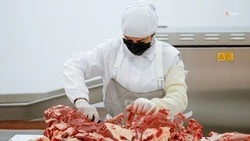 Сельхозтоваропроизводители Ставрополья наращивают экспорт товаров
