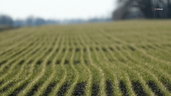  Новые оросительные системы построят на Ставрополье в 2026 году  