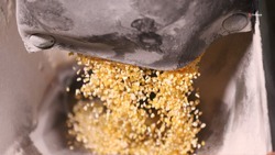 Показатели перерабатывающей промышленности Ставрополья выросли на 7%