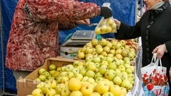 Более 9,3 тыс. тонн ставропольской продукции реализовали на ярмарочных площадках 