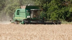 Ставропольский край нарастит экспорт продукции в семь стран