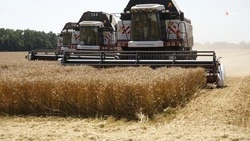 Аграрии Петровского округа убрали зерновые почти на 80% площади