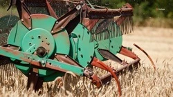 До 6,5 тыс. комбайнов задействуют на Ставрополье в уборке урожая