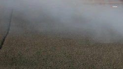 На Ставрополье почти 560 гектаров сельхозугодий пострадали от ландшафтных пожаров