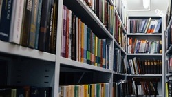 Модельную библиотеку открыли в селе Петровского округа