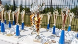 Петровский округ вошёл в финал Всероссийской муниципальной премии «Служение»