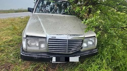 Водитель иномарки въехал в дерево Петровском округе