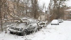В Ставрополе выплатили по 10 тысяч пострадавшим от январского урагана