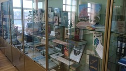 Ставропольские библиотеки получили доступ к 900 тысячам изданий сервиса «ЛитРес»