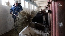 Льготные кредиты помогли АПК Ставрополья наладить производственные механизмы