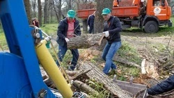 Субботник проведут на горе Машук в Пятигорске 25 марта