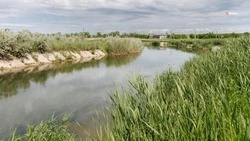 Расчистку русла реки в Светлограде завершат в следующем году