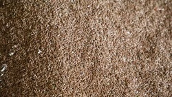 Экспорт продукции АПК Ставрополья нарастили на 15%