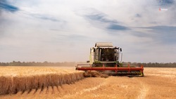 Аграрии Ставрополья планируют убрать 2,5 млн га зерновых и зернобобовых культур 
