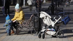 Многодетные мамы получат медали и премию на Ставрополье
