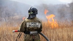 Семь пожаров потушили в Петровском округе за последние сутки