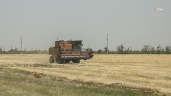 На Ставрополье завершился сев озимых