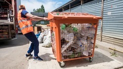 Ставрополье планирует закупить более 800 контейнеров для «чистых» отходов в 2023 году