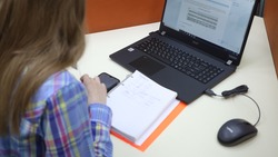 100 тысяч школьников Ставрополья поучаствовали в олимпиаде «Безопасные дороги»