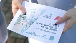 Более 16 тыс. жителей Петровского округа выбрали проекты благоустройства
