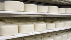 На Ставрополье нарастили экспорт молочной продукции и мяса птицы