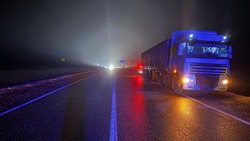 Пешеход попал ночью под грузовик в Петровском округе